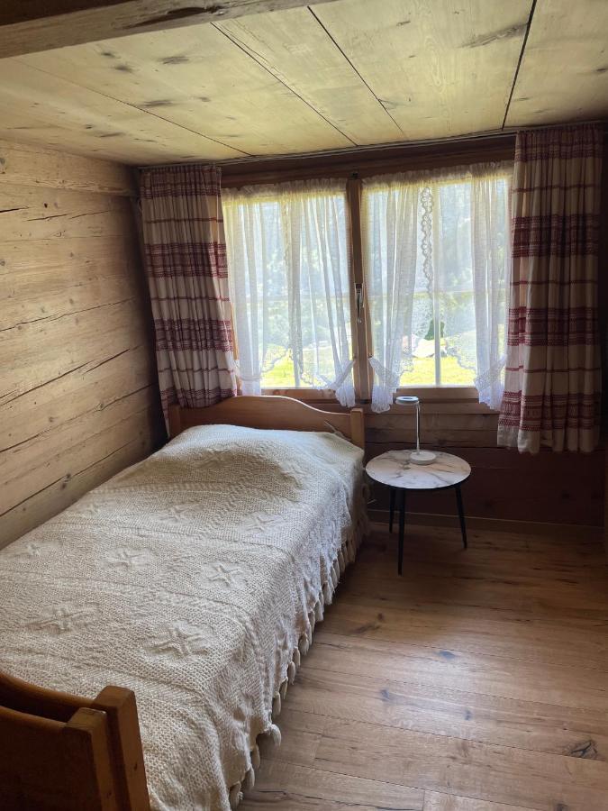 Ferienwohnung Im Gruenen กรินเดลวัลด์ ภายนอก รูปภาพ