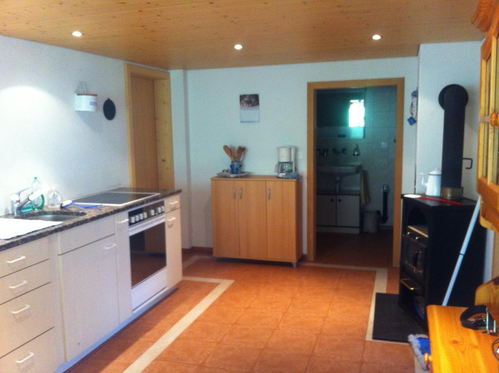 Ferienwohnung Im Gruenen กรินเดลวัลด์ ห้อง รูปภาพ