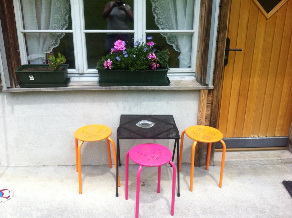 Ferienwohnung Im Gruenen กรินเดลวัลด์ ห้อง รูปภาพ
