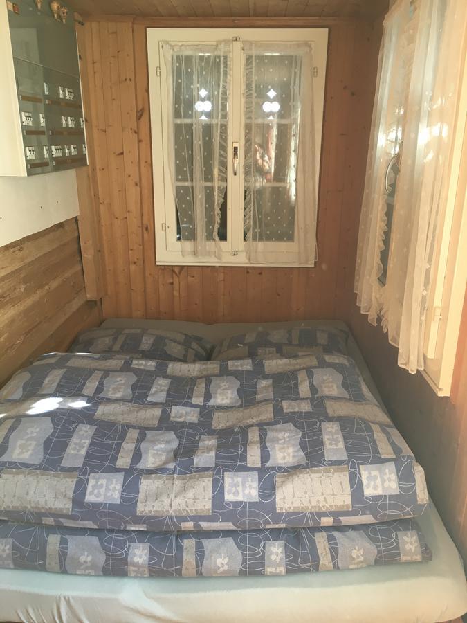 Ferienwohnung Im Gruenen กรินเดลวัลด์ ภายนอก รูปภาพ